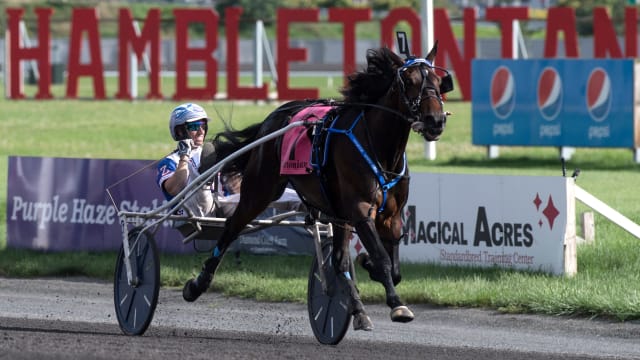 Hambletonian Michael Karas:NorthJersey.com via Imagn Content Services